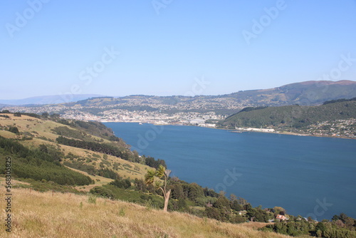 Overlooking Otago Harbour near the city of Dunedin on New Zealand's South Island.