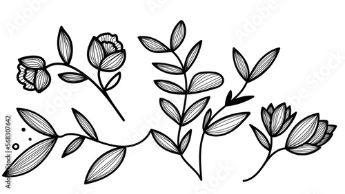 Drawing minimalist flowers  ,Hand drawn design elements , Flat Modern design isolated on white background ,Vector illustration EPS 10