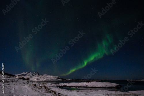 Bright Green Colours of the Northern Light, Aurora Borealis illuminate the Night Sky over the beach at Mjelle, in Arctic Norway. © Goldilock Project