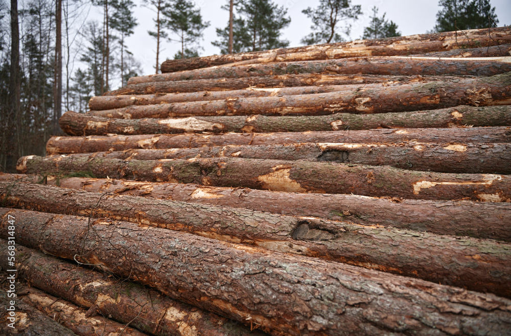 Renewable bio fuel preparation. Winter heating season. Wall of stacked wood logs. Renewable bio fuel preparation. Winter heating season. Wall of stacked wood logs.