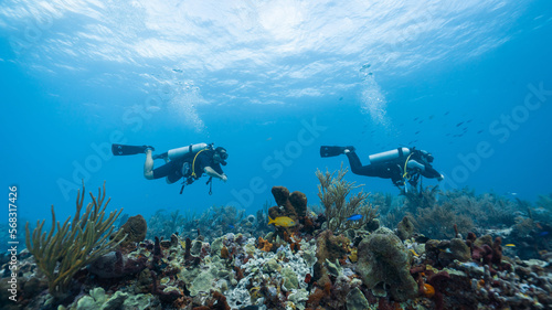 The loving couple dives among corals and fishes in the ocean