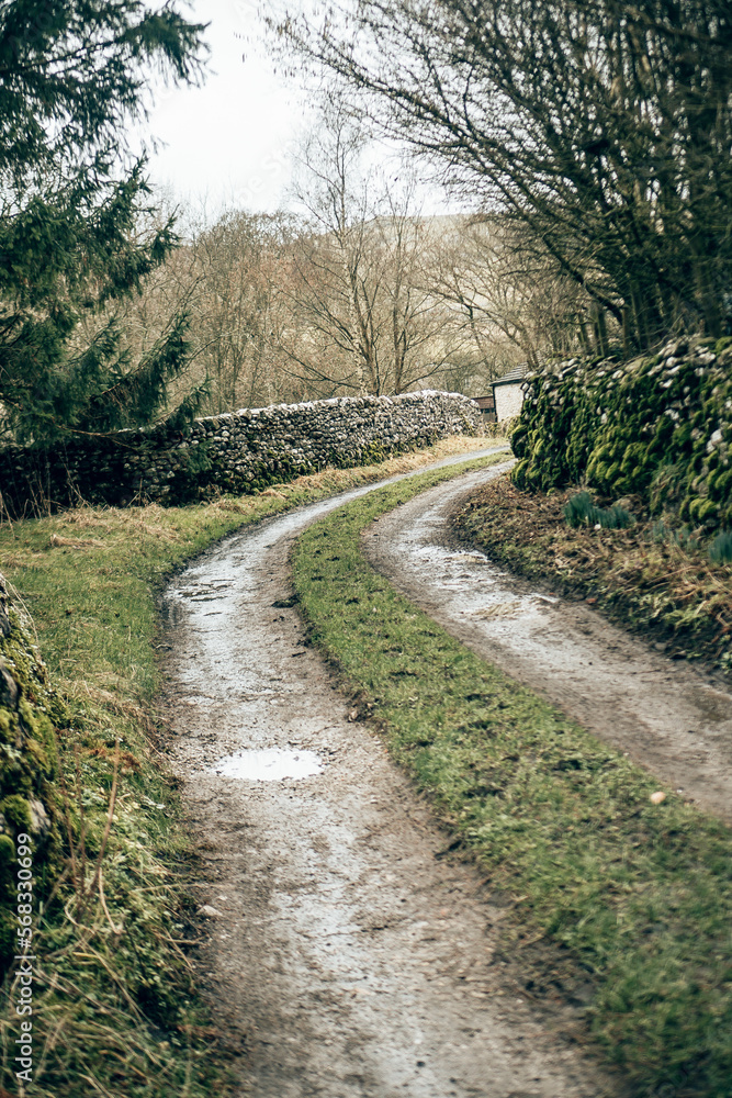 A quiet farm path in the English countryside A quiet farm path in the English countryside