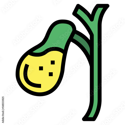 gallbladder filled outline icon style