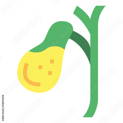 gallbladder flat icon style