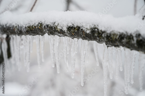 Shiny icicles hang at spring day. © Vladimir Arndt