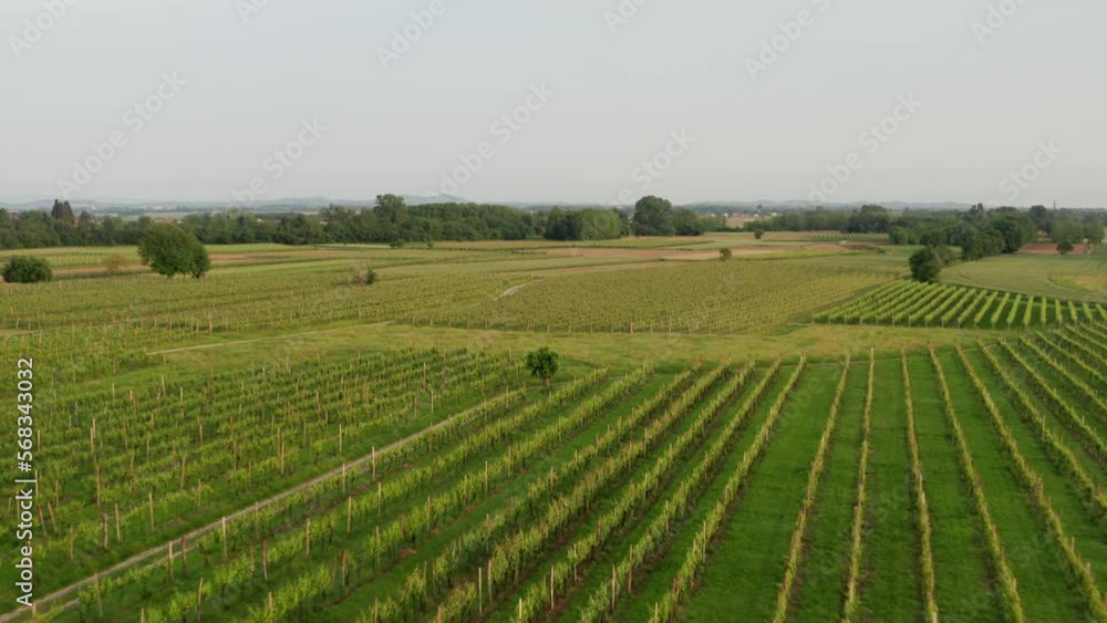 aerial drone shot of fields in carso karst aerial drone shot of fields in carso karst