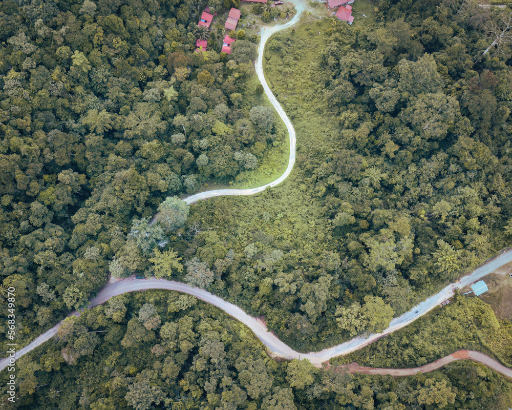 Road through the green rainforest. Aerial top view forest on misty fog morning. Ecosystem and healthy environment concept and background. Road through the green rainforest. Aerial top view forest on misty fog morning. Ecosystem and healthy environment concept and background.