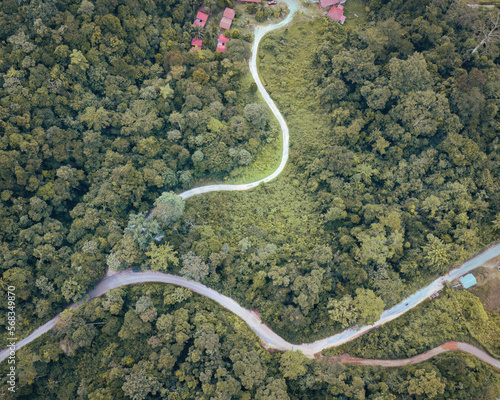 Road through the green rainforest. Aerial top view forest on misty fog morning. Ecosystem and healthy environment concept and background.