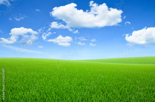 Landscape view of green grass field with blue sky and clouds background.