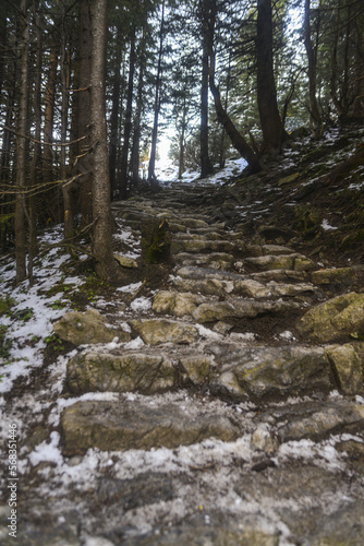 stone steps in a gloomy mountain forest