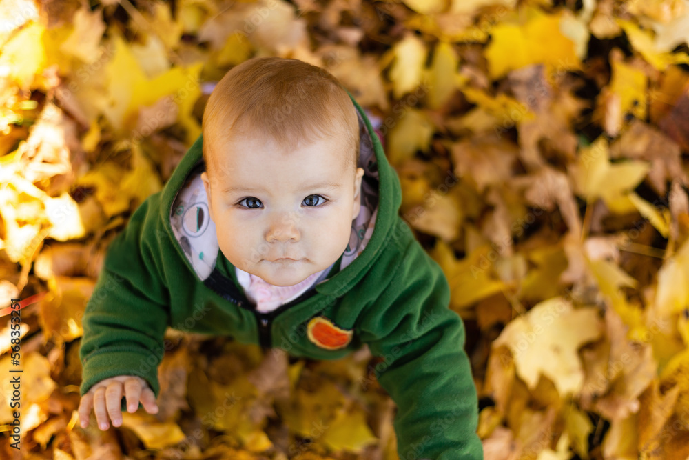 Portrait of baby girl among yellow leaves at autumn Portrait of baby girl among yellow leaves at autumn