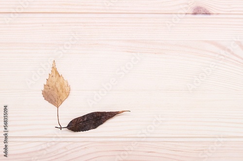 One small autumn leaf on a wooden table in the corner on a light textured surface. Place for text. View from above.