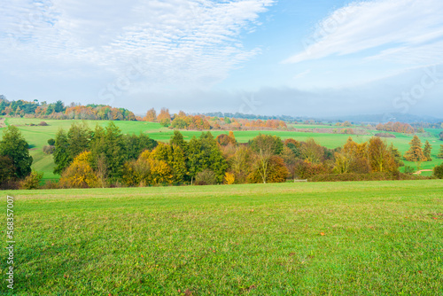 Lullingstone Country Park in autumn colours, Kent, UK © beataaldridge