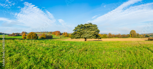 Lullingstone Country Park in autumn colours, Kent, UK photo