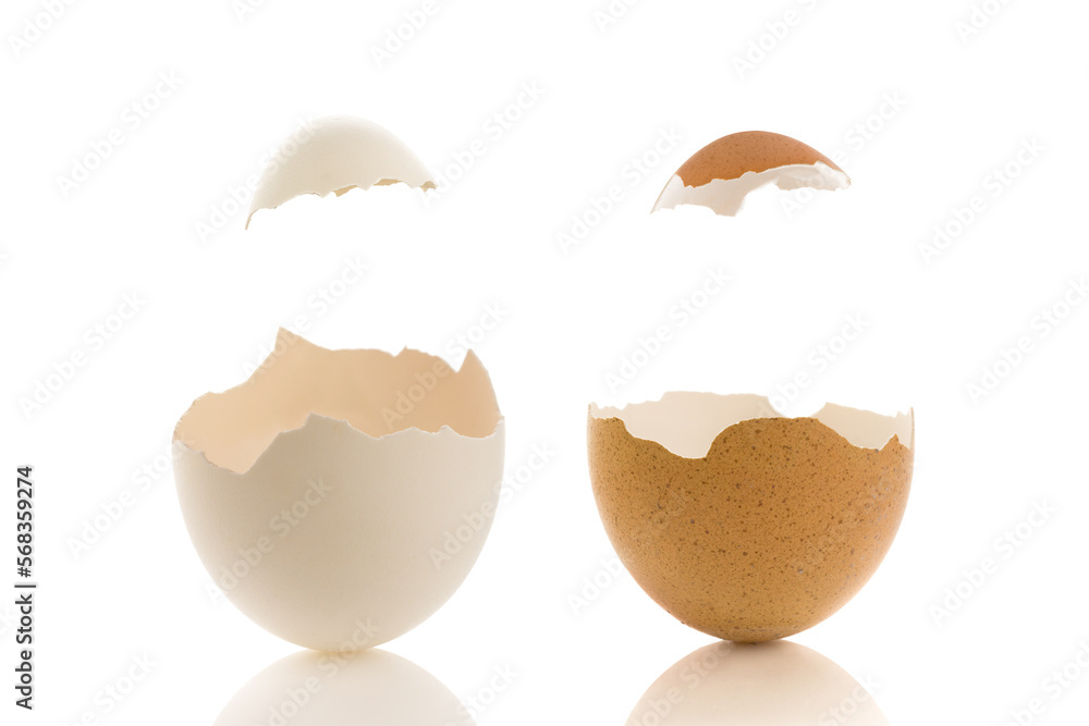 White and borwn eggs with hat
