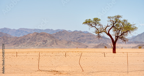 Landscape around Sossusvlei  Namibia