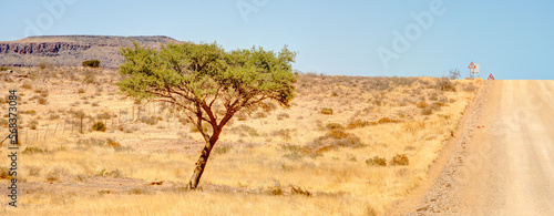 Tsaris Pass on the C19 road, Namibia photo