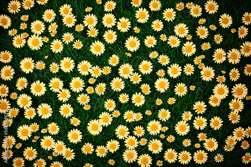 The Beauty of Nature - A Top View of a Field of Daisies in a Meadow Generative AI