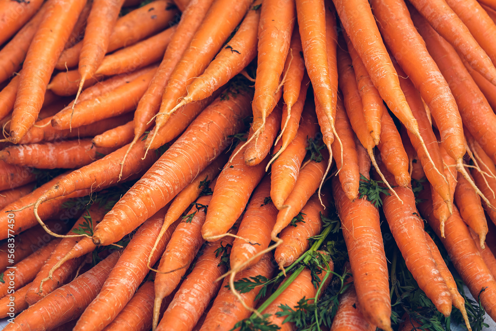 Organic fresh carrots pile at the market. Organic fresh carrots pile at the market.