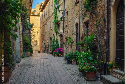 Old stone houses decorated with flowers and green plants  Italy