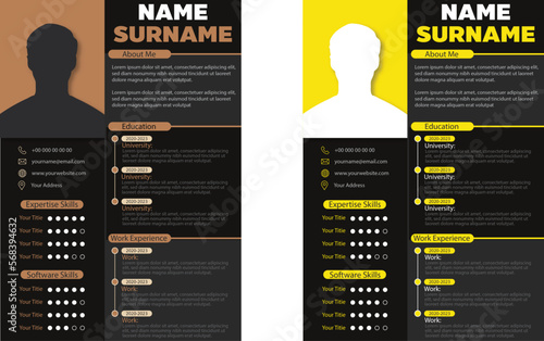 Vector professional resume