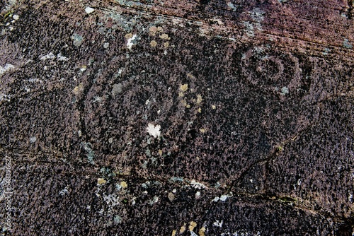 Cup and ring prehistoric stone carving panel on rock out-crop site known as Kealduff Upper 2. On Iveragh peninsula 7km SW of Glenbeigh, Kerry, Ireland photo