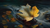  Autumn leaf in the flowing river. Generative AI