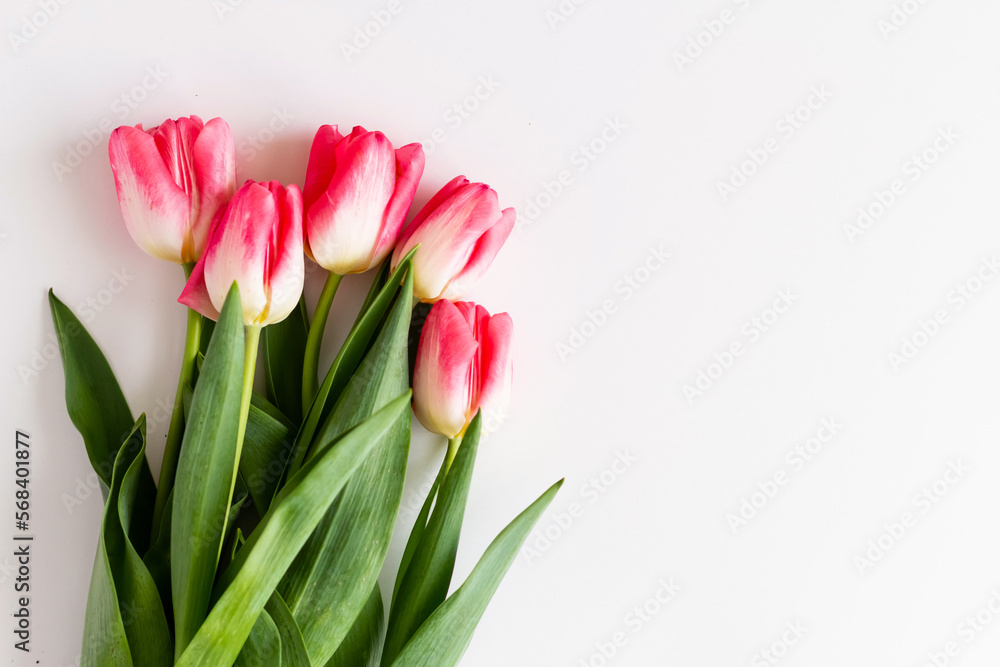 Pink tulip flowers bouquet on white background. Flat lay, top view. Selective focus. Shallow depth of field