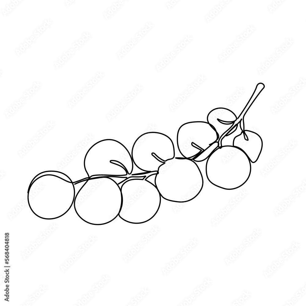 One continuous line of healthy organic grapes Fresh tropical fruit concept for orchard icon. Modern Single Line Drawing Design Graphic Vector Illustration One continuous line of healthy organic grapes Fresh tropical fruit concept for orchard icon. Modern Single Line Drawing Design Graphic Vector Illustration