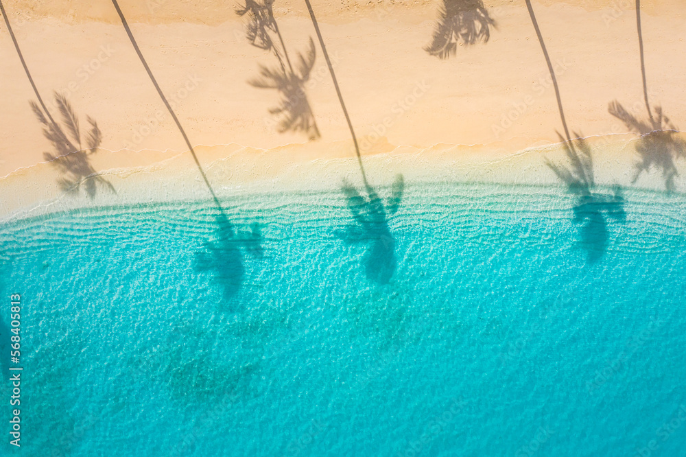 Beach palm trees on the sunny sandy beach and turquoise ocean from above. Amazing summer nature landscape. Stunning sunny beach scenery, relaxing peaceful and inspirational beach vacation template - obrazy, fototapety, plakaty 