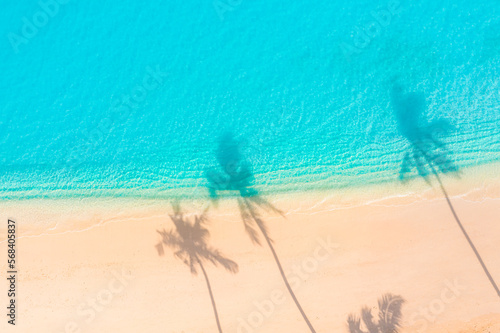 Beach palm trees on the sunny sandy beach and turquoise ocean from above. Amazing summer nature landscape. Stunning sunny beach scenery, relaxing peaceful and inspirational beach vacation template