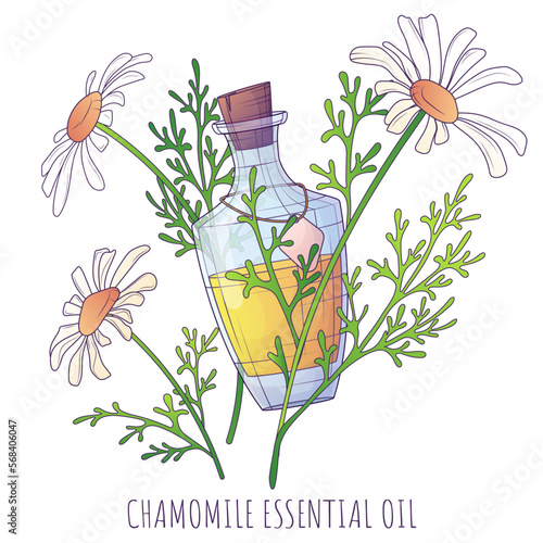 Vector illustration of vase and pedestal. Elegant volumetric amphora for design of poster, banner, card, decoration of room.