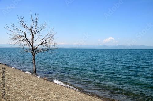 beautiful shore of Lake Sevan, Armenia © Holger