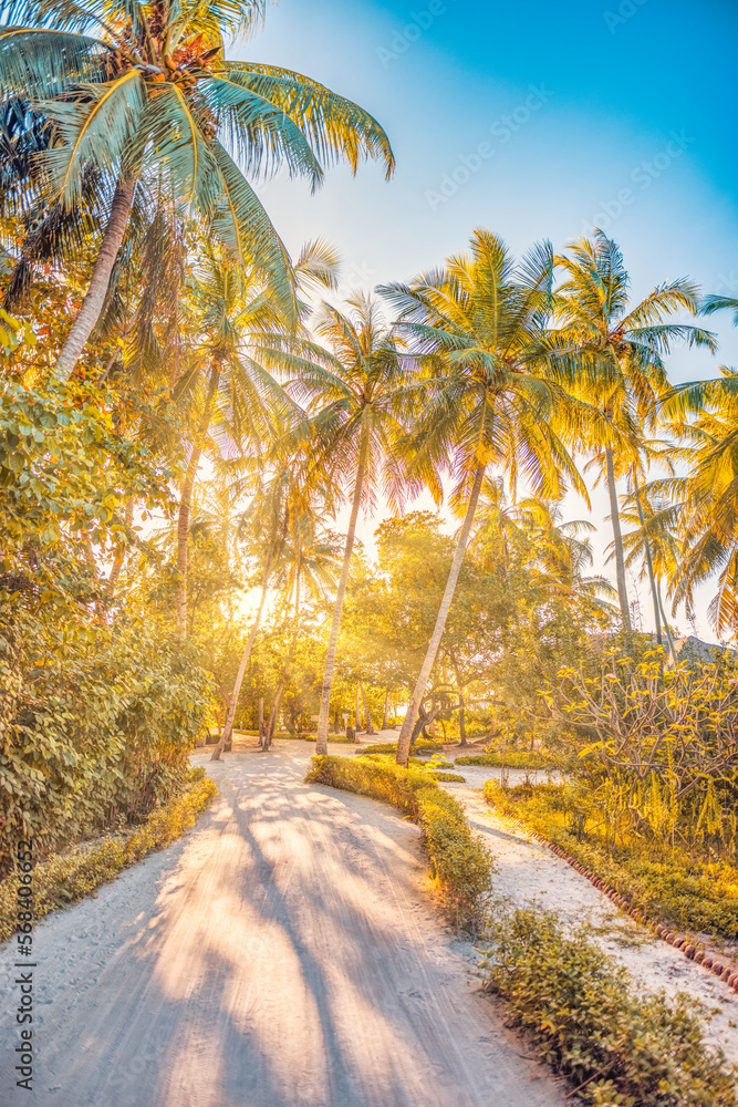 Obraz premium Romantic vibes of tropical palm trees sun rays forest pathway. Outdoor sunset exotic foliage, closeup nature landscape. Coconut palm trees and shining sun beams over bright sky. Summer spring nature