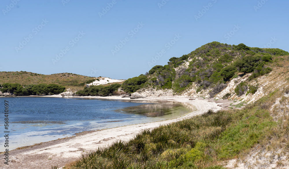 Fototapeta premium Porpoise Bay