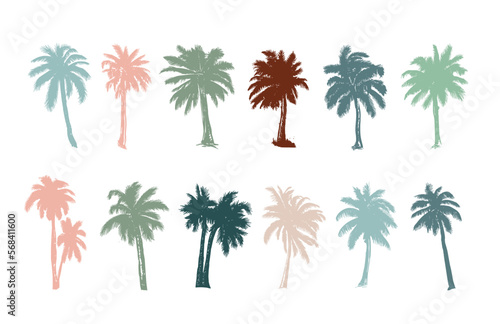 Palm, Hello Summer, hand drawn illustrations, vector.	
