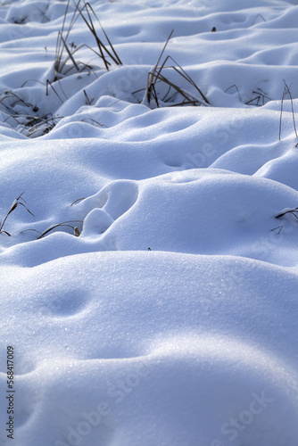 Snow drifts in snowbound winter meadow