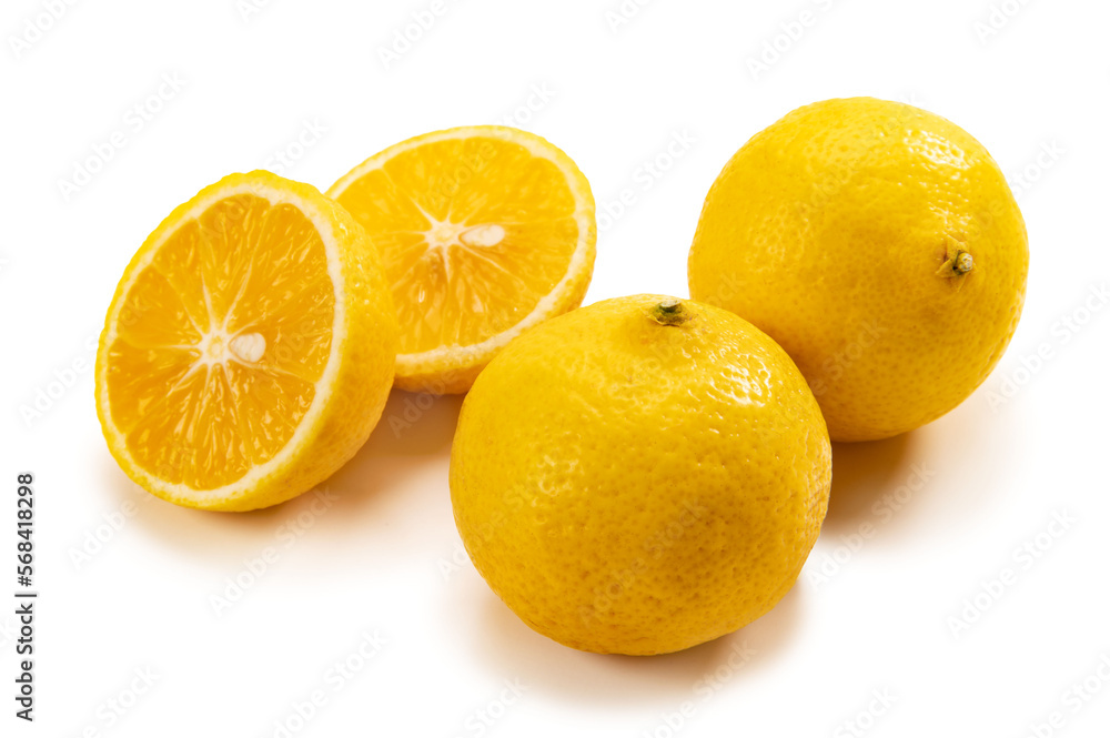 日本の柑橘類、黄金柑