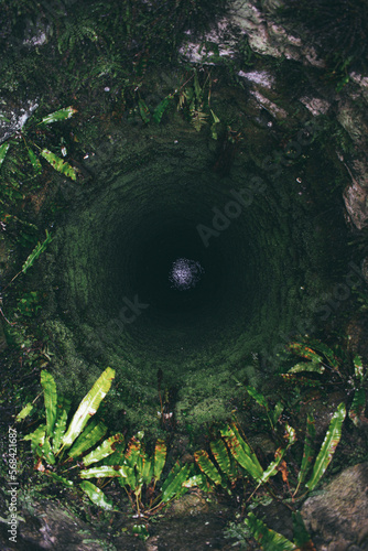 plants and moss grow on the walls of a deep well in an old castle in Ukraine. Uzhhorod