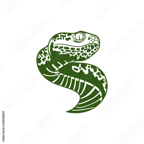 snake viper green illustration creative design