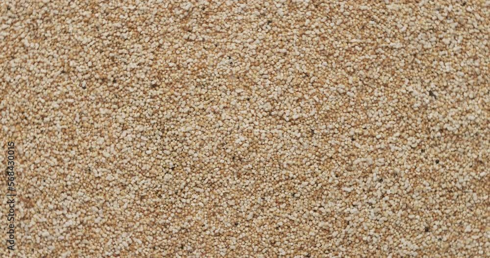 Closeup amaranth groats rotation, background, texture. Food background. Closeup amaranth groats rotation, background, texture. Food background.