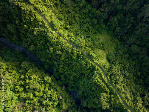 Aerial view of artist trail in Ubud, Bali. © grthirteen