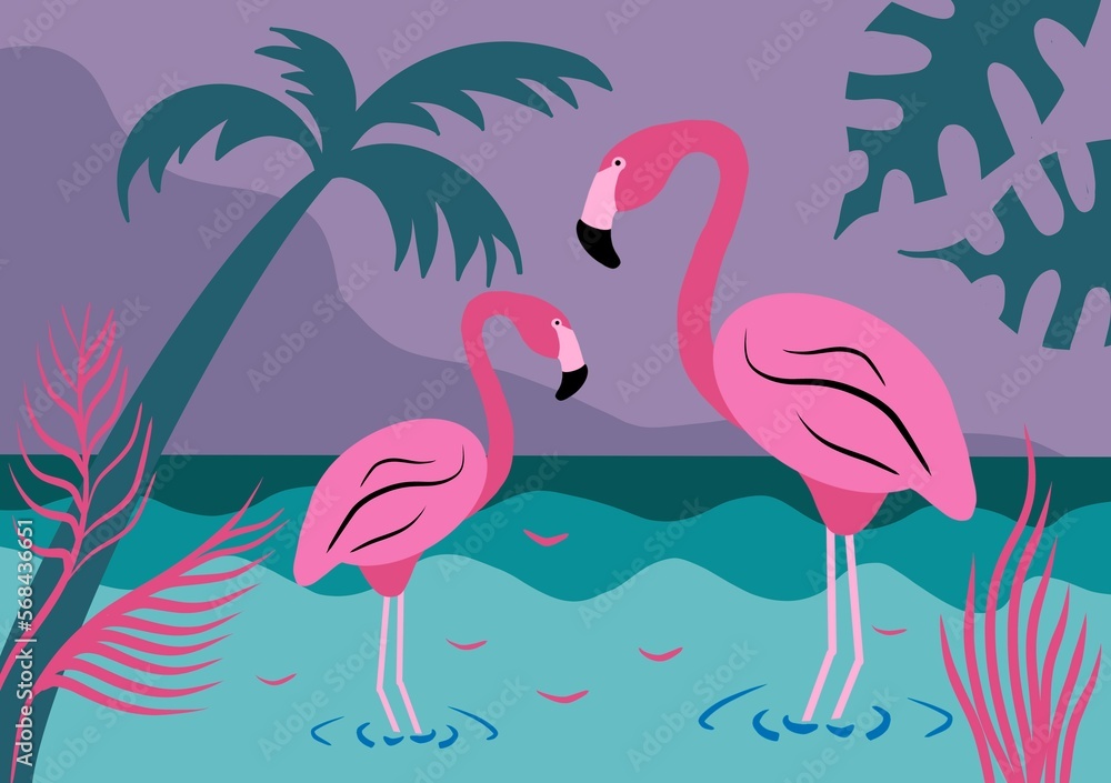 Obraz premium flamingos in water