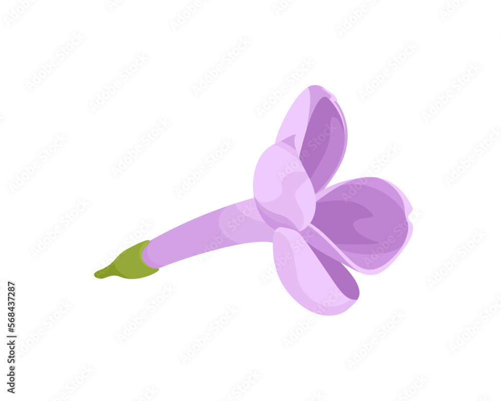 Lilac flower cartoon icon. Vector illustration of spring flower isolated on white background.