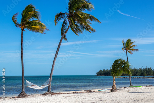 Relax in a hammock by the sea