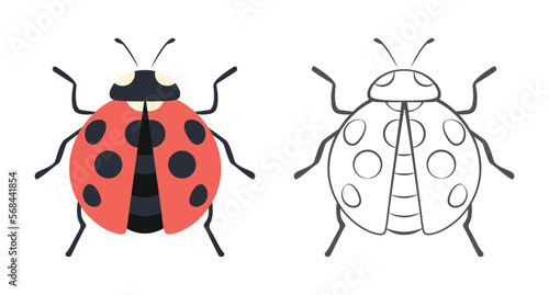 Ladybug color illustration and outline. Cartoon flat simple illustration. Vector insect icon. Logo concept.