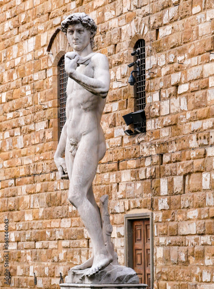 Naklejka premium Michelangelo's David isolated on white background, Piazza della Signoria, Firenze, Italy. Isolated over white.