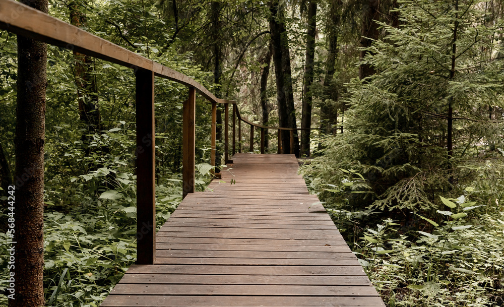 Forest nature. Spring deciduous woods with wood trail, wooden footpath, path forward. Green woodland