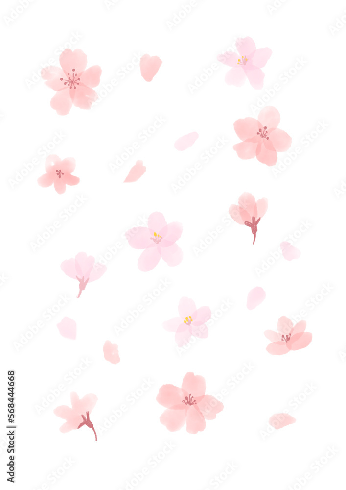 ふんわりかわいい桜の花の水彩イラスト