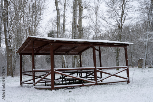 IMAGEN DE INVIERNO. PAISAJE NEVADO.